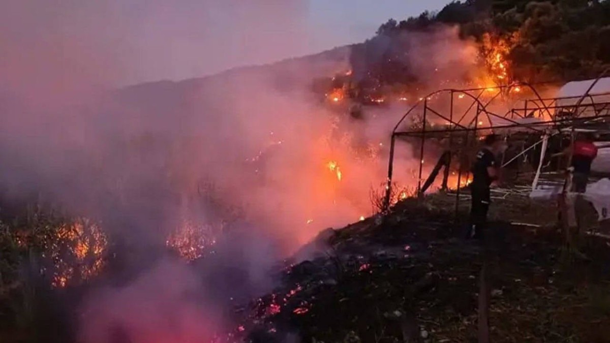 Antalya'da 3 Günde 34 Yangın: Ormanlar, Tarım Alanları ve Yerleşimler Etkilendi
