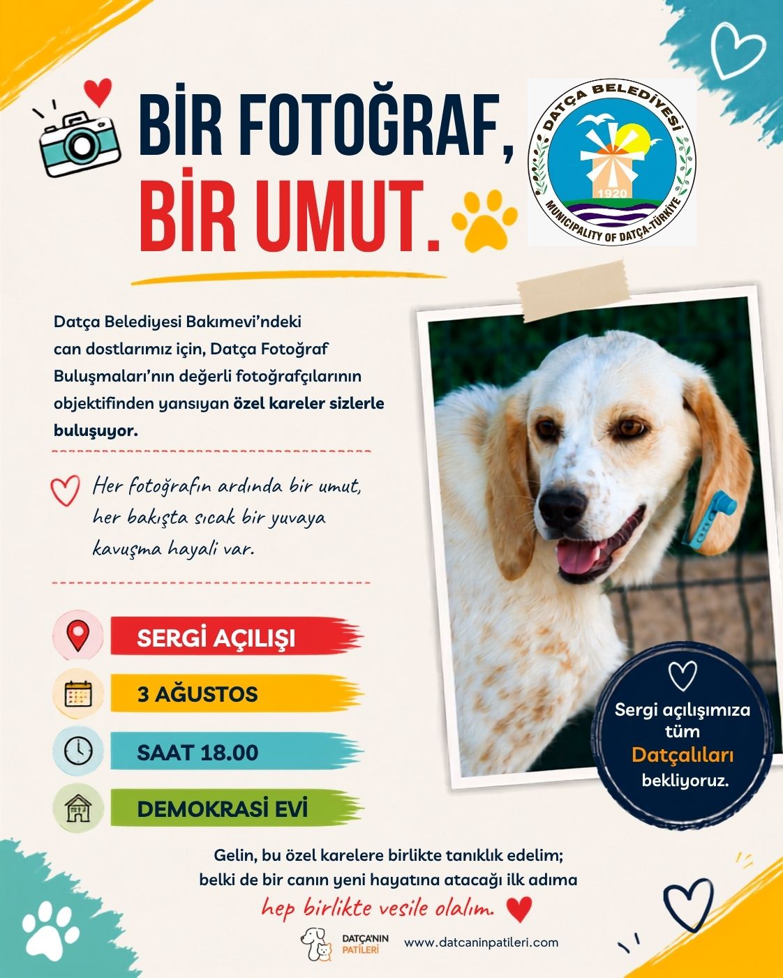 “Datça Bakımevi’ndeki 32 Köpek Yuvasını Arıyor”