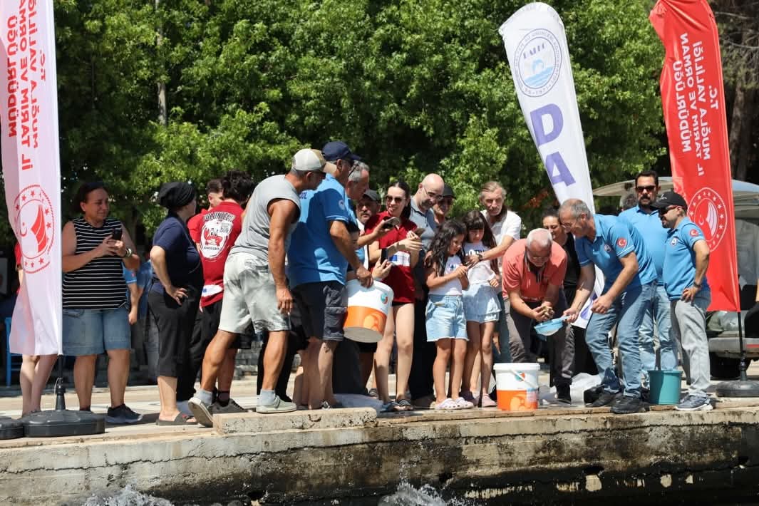 Köyceğiz Gölü ve Barajlara 576 Bin Sazan Yavrusu Bırakıldı